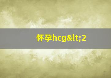 怀孕hcg<2